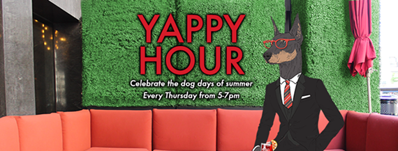 4c62bc8c_yappy-hour-fb-cover_2_.png