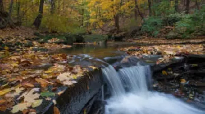 Image: National Public Lands Day