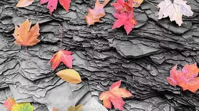 Image: Doan Brook Photography Hike