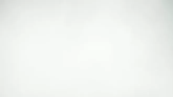 Image: Holiday Cocktail Soir&eacute;e, Concert, or Both! Featuring The Barefoot Movement