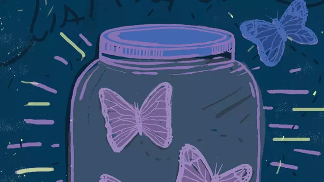 Image: En el Tiempo de las Mariposas / In the Time of the Butterflies