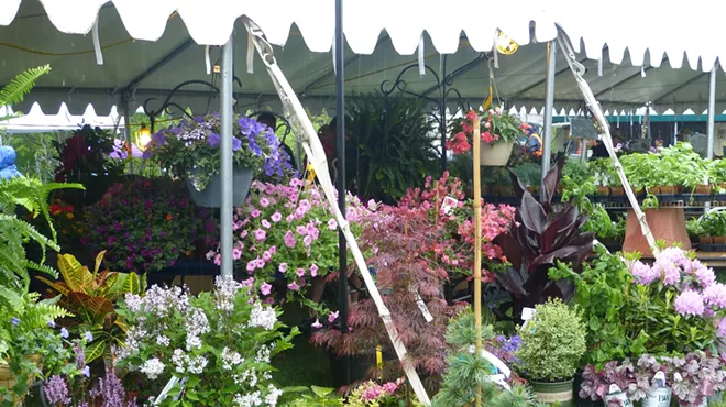 Image: Plant Sale at the Holden Arboretum