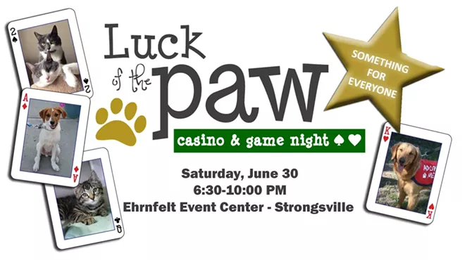 Image: Berea Animal Rescue's Luck of the Paw Casino & Game Night