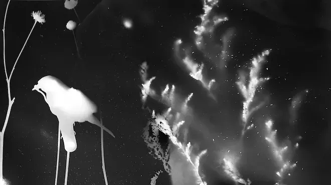 Image: Photogram Workshop