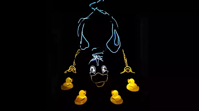 Image: The Ugly Duckling