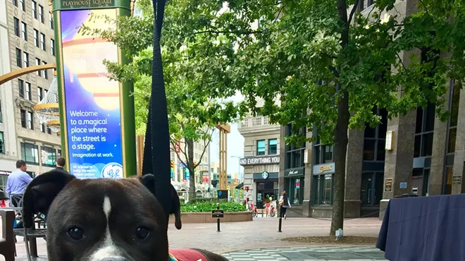 Image: Pet Days on the Plaza