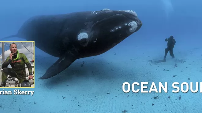 Image: National Geographic Live! Ocean Soul