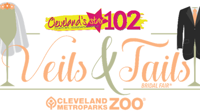 Image: Veils and Tails Bridal Fair