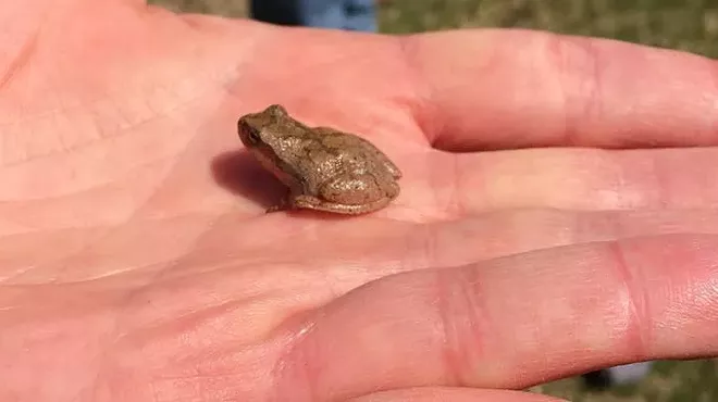 Image: Ohio Certified Volunteer Naturalist Program Open House