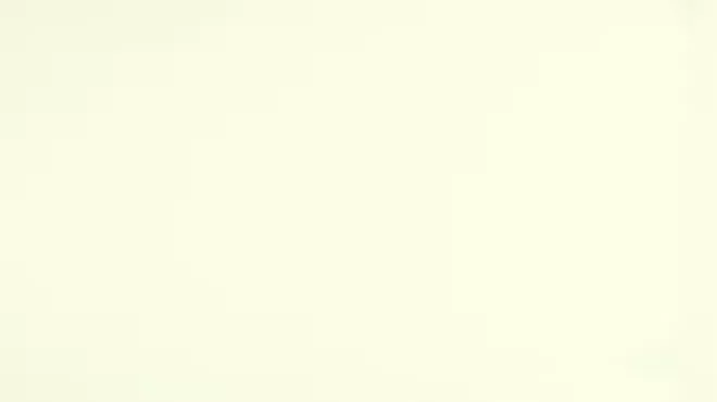 Image: Romantic Mozart