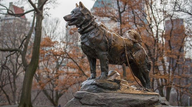 Celebrate Balto's 100th Birthday This Weekend at the Cleveland Museum of Natural History