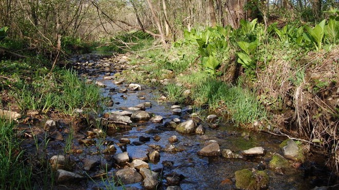 Still Three Weeks Left to Comment on EPA's Plan to Reduce Stream Protections