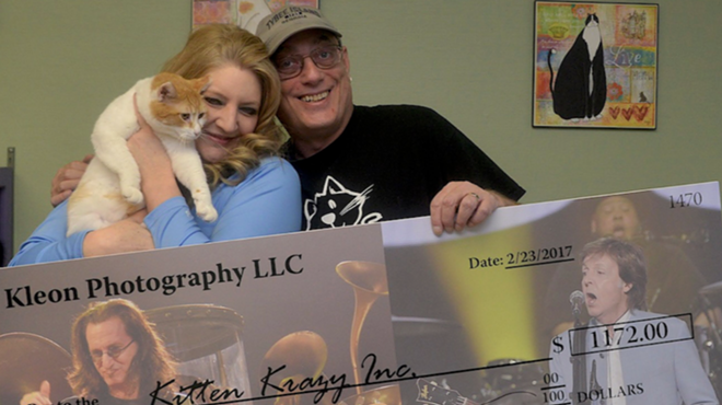 Fourth Annual Kitten Krazy Fundraiser Begins on Friday