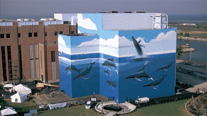 Gigantic Cleveland Whale Mural Off I-90 is Getting a Fresh Update This Week