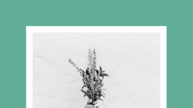 Image: Shortform