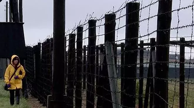 Image: Chasing Portraits