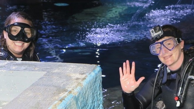 Greater Cleveland Aquarium to Celebrate International Women's Dive Day on July 20