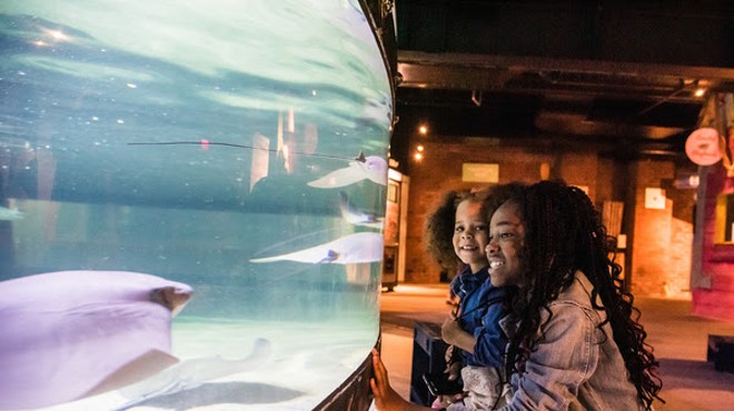 Greater Cleveland Aquarium to Again Team Up With United Black Fund for Annual MLK Day Celebration