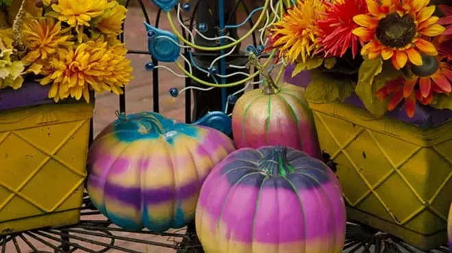 Image: Lakewood Photographic Society Fall Showcase