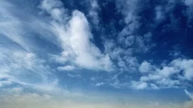 Image: Opening Reception: BAYarts Tall Walls