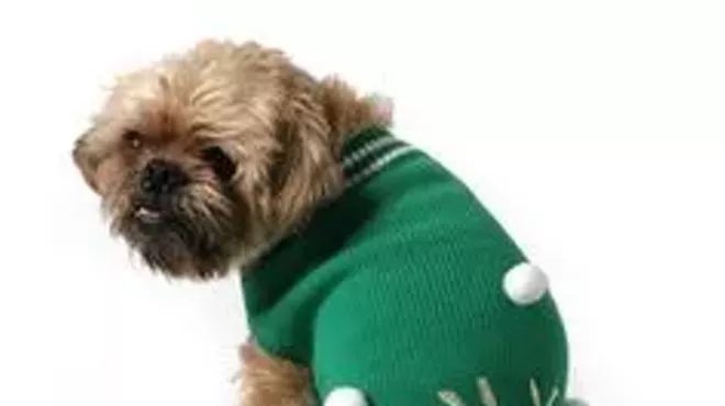 Image: Betty's Ugly Sweater Dog Holiday Party and Food Drive