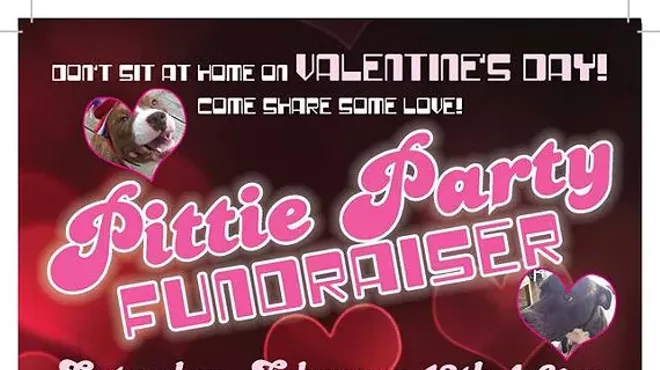 Image: Voices in the Dark Animal Rescue's Pittie Party