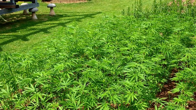 Where is Ohio on Marijuana Legalization Going into 2016?