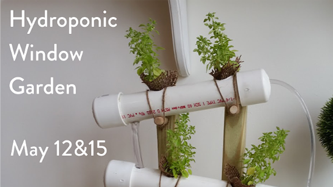 Image: Hydroponics Maker Workshop