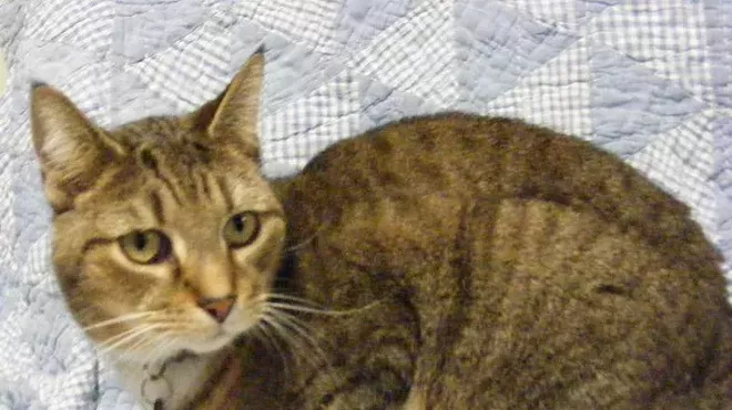 Image: Wine & Whiskers