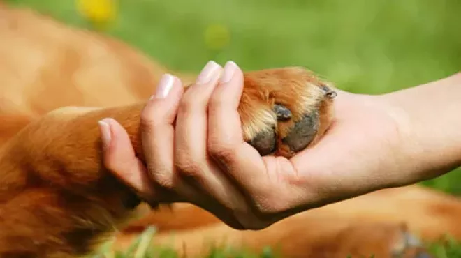 Image: Paws on the Plaza