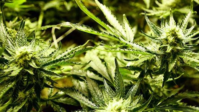 Governor John Kasich Signs Medical Marijuana Bill