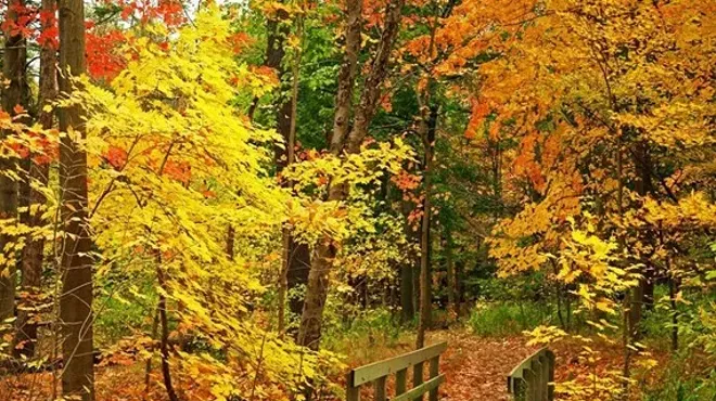 Image: Autumn Fling Craft, Art and Vendor Fair