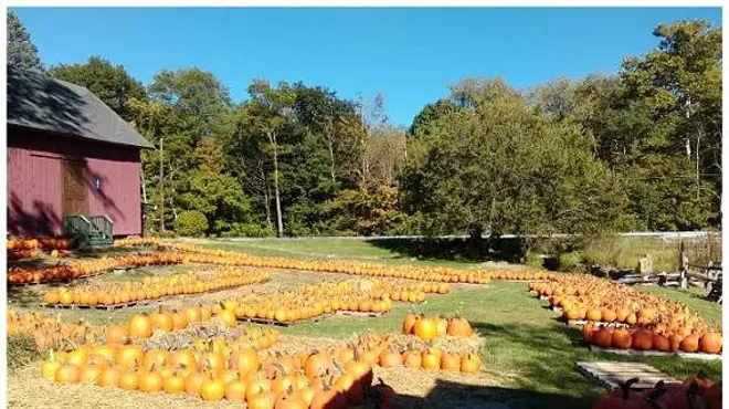 Image: Pumpkin Pandemonium at Heritage Farms Peninsula!