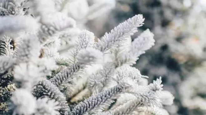 Image: Winter Solstice Celebration