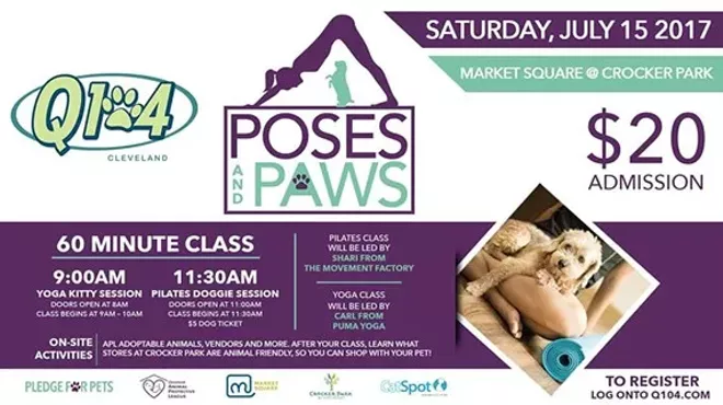 Image: Poses and Paws