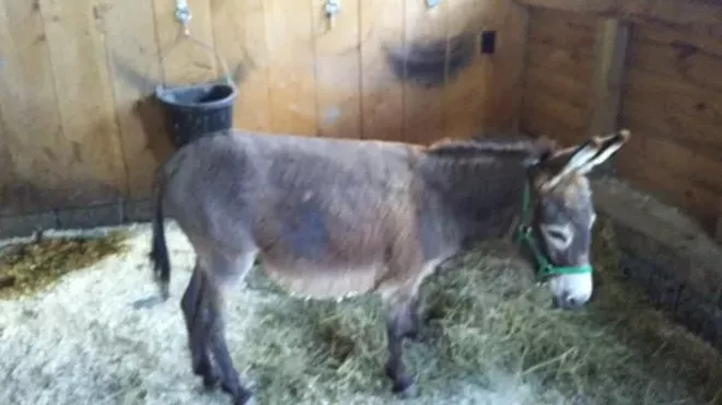 Image: Remembrance Day 2017 - Honoring Farmers