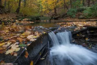 Image: National Public Lands Day