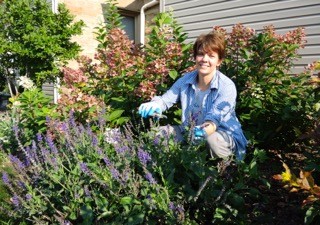 Bent Science: Bees in Your Ohio Backyard with Denise Ellsworth