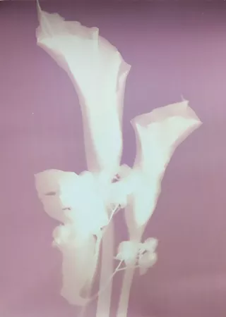 Image: Lumen Print Workshop