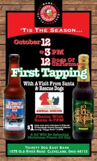 Image: The &lsquo;12 Dogs of Christmas&rsquo; First Tapping at Thirsty Dog with rescue pups!