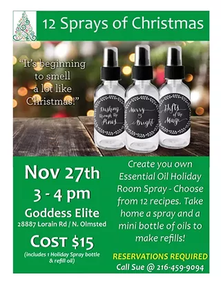 Image: 12 Sprays of Christmas