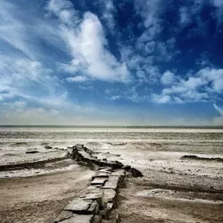 Image: Opening Reception: BAYarts Tall Walls