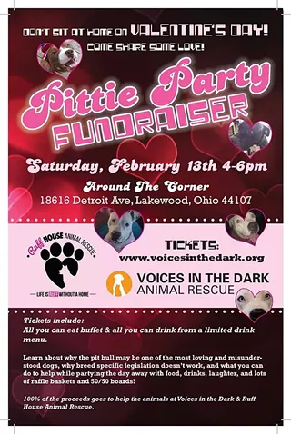 Image: Voices in the Dark Animal Rescue's Pittie Party