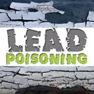 Image: Taking the Lead on Lead