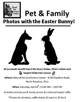Image: Hand Me Down Dobes Pet & Family Photos with the Easter Bunny