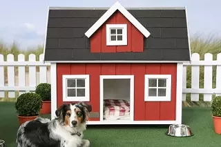 Image: Pet and Home Show at Summit Mall