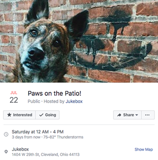 Paws on the Patio with Mercy's Door Pet Rescue