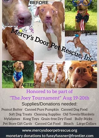 Image: The Joey Softball Tournament with Mercy's Door Pet Rescue