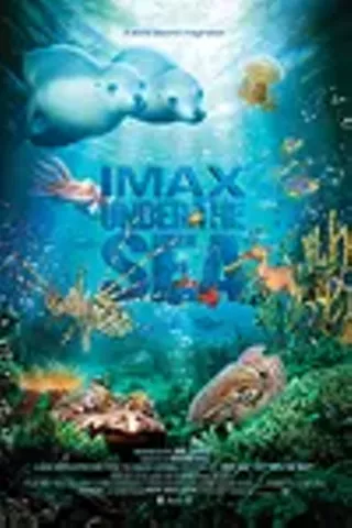Image: Under the Sea