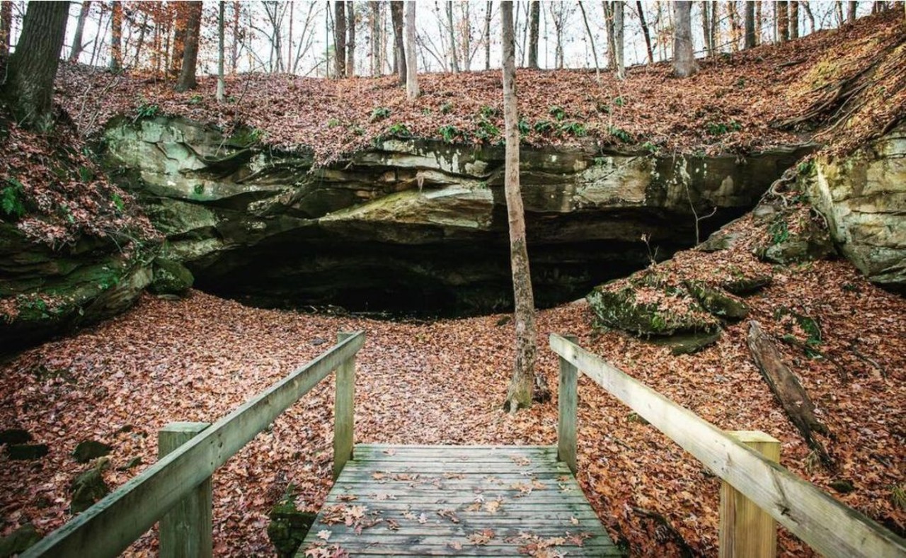 Deer Lick Cave
440-526-1012, 9000 Chippewa Creek Dr., Brecksville
Deer Lick Cave got its name from the abundance of white-tailed deer that go there to lick the cave&#146;s walls for salt, not found in their largely plant based diet.
Photo by clevemetroparks/Instagram